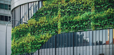 Why going green makes good business sense